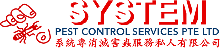 System Pest Control Services Pte Ltd